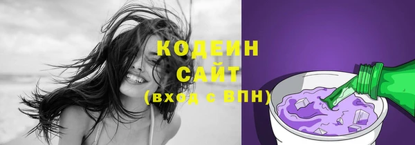 спиды Гусев