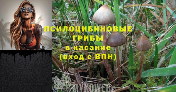 наркотики Гусиноозёрск