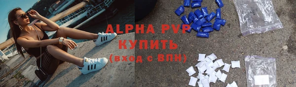 спиды Гусев