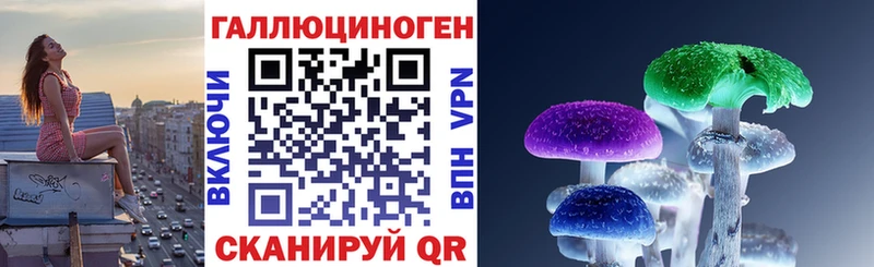 Псилоцибиновые грибы мицелий  Жуковка 